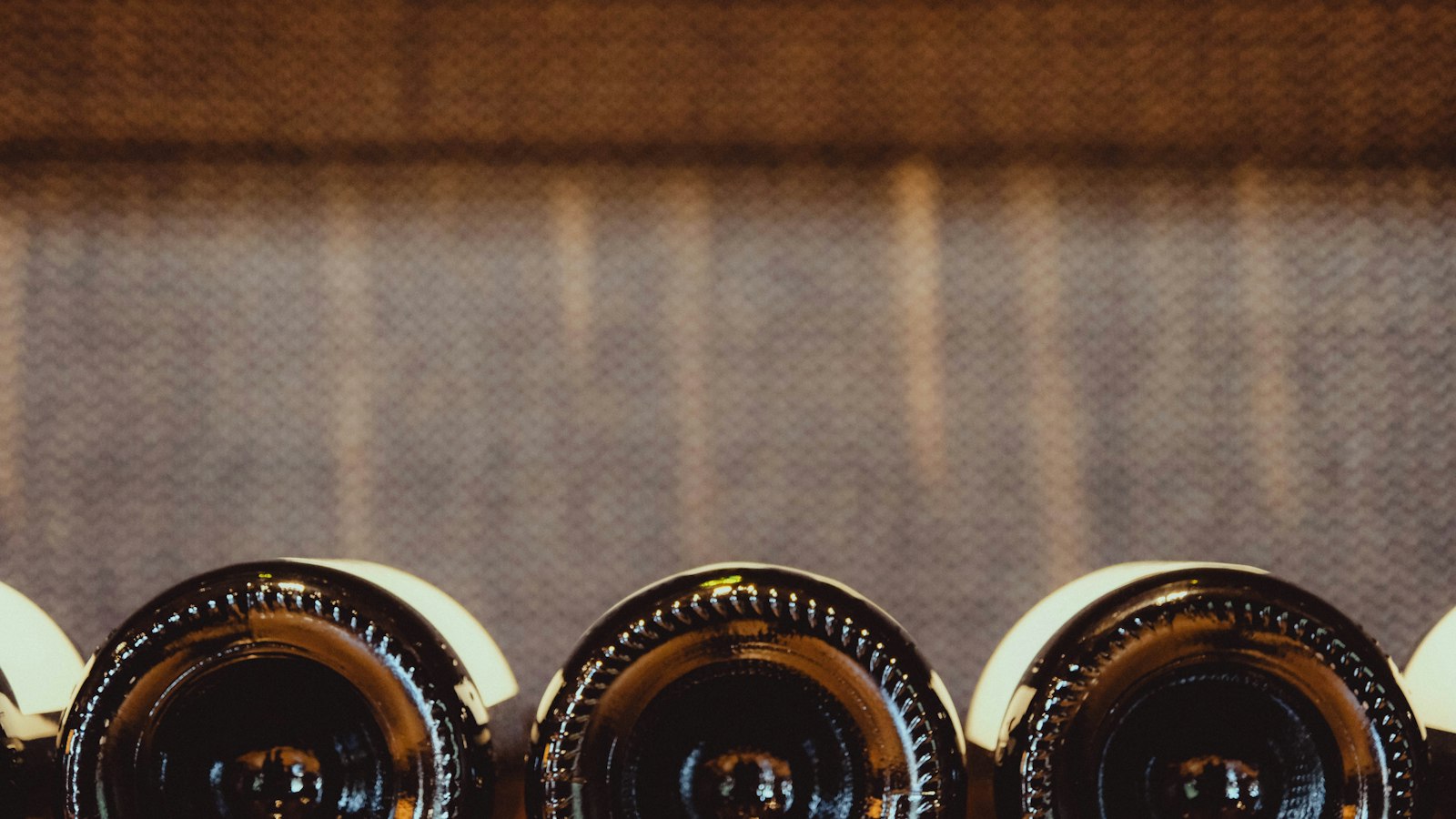 Das richtige Weinregal für jede Flasche: 6 Modelle im Vergleich