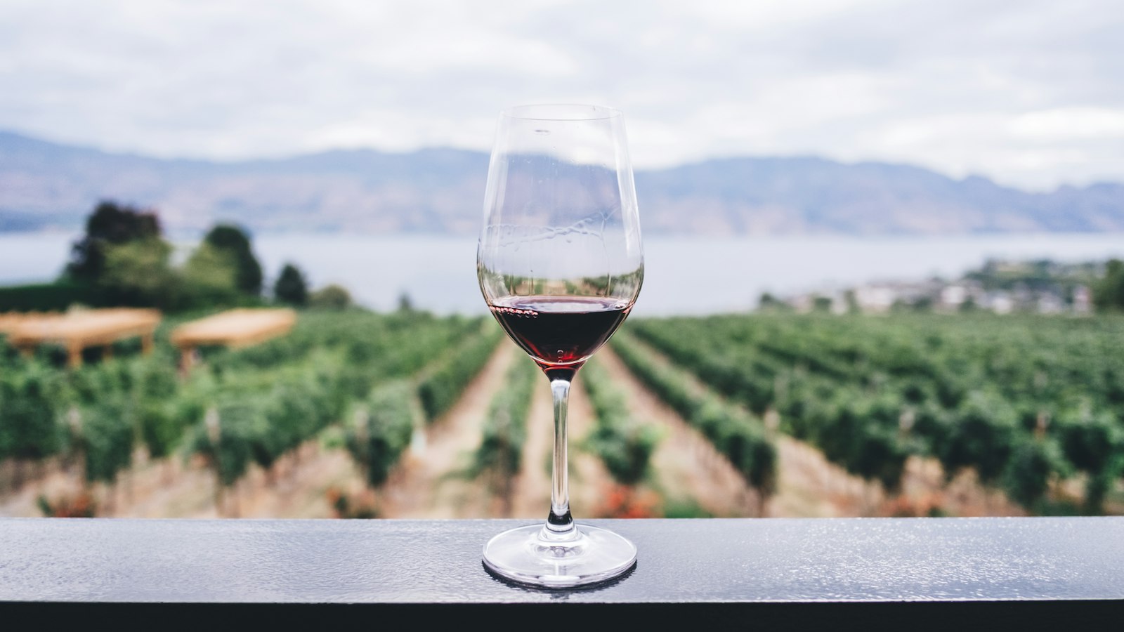 Weinprobe: Lernen, wie man Wein richtig genießt