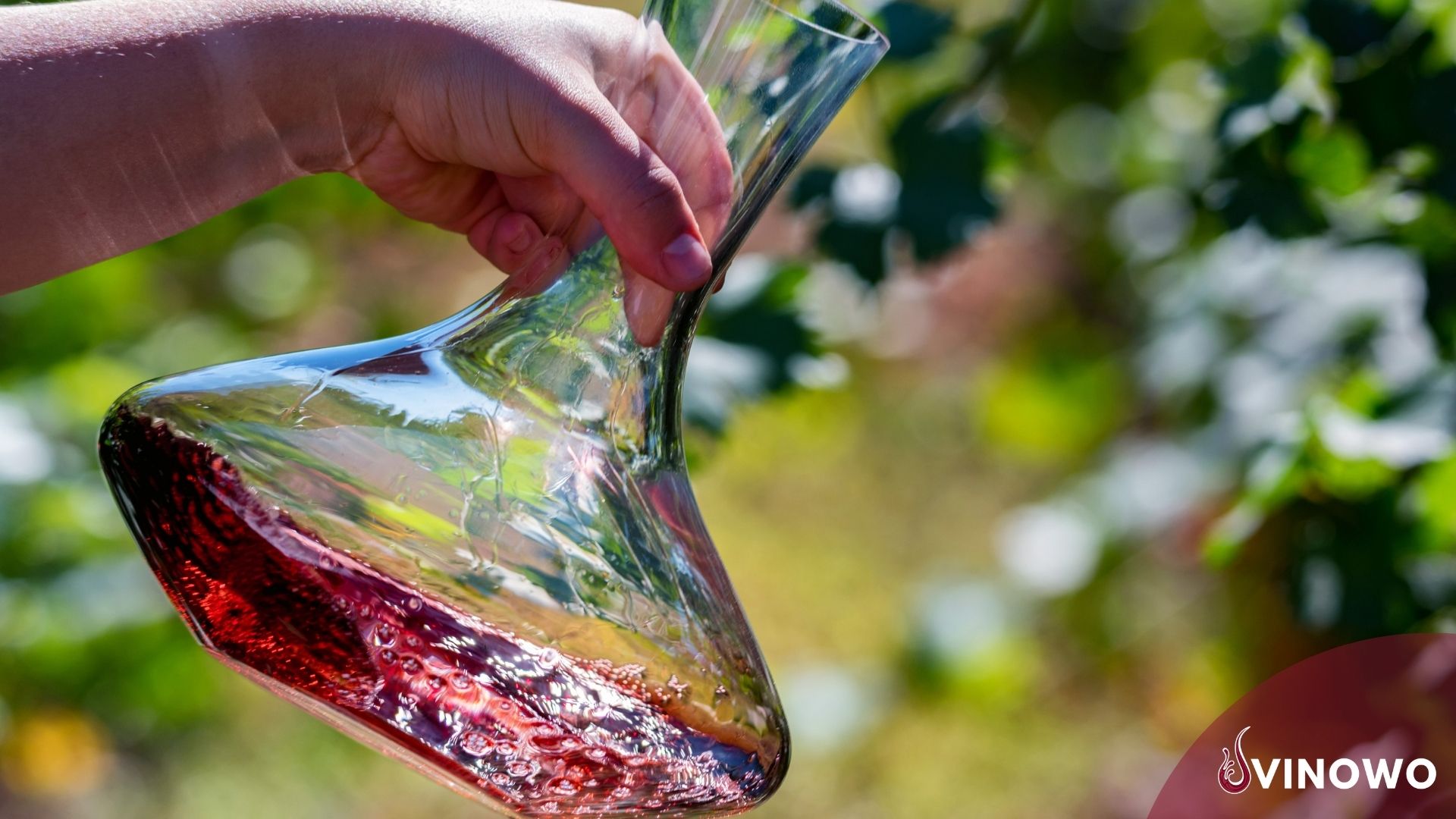 Alkoholfreier Wein – vollwertiger Weingenuss oder seelenloser Trunk?