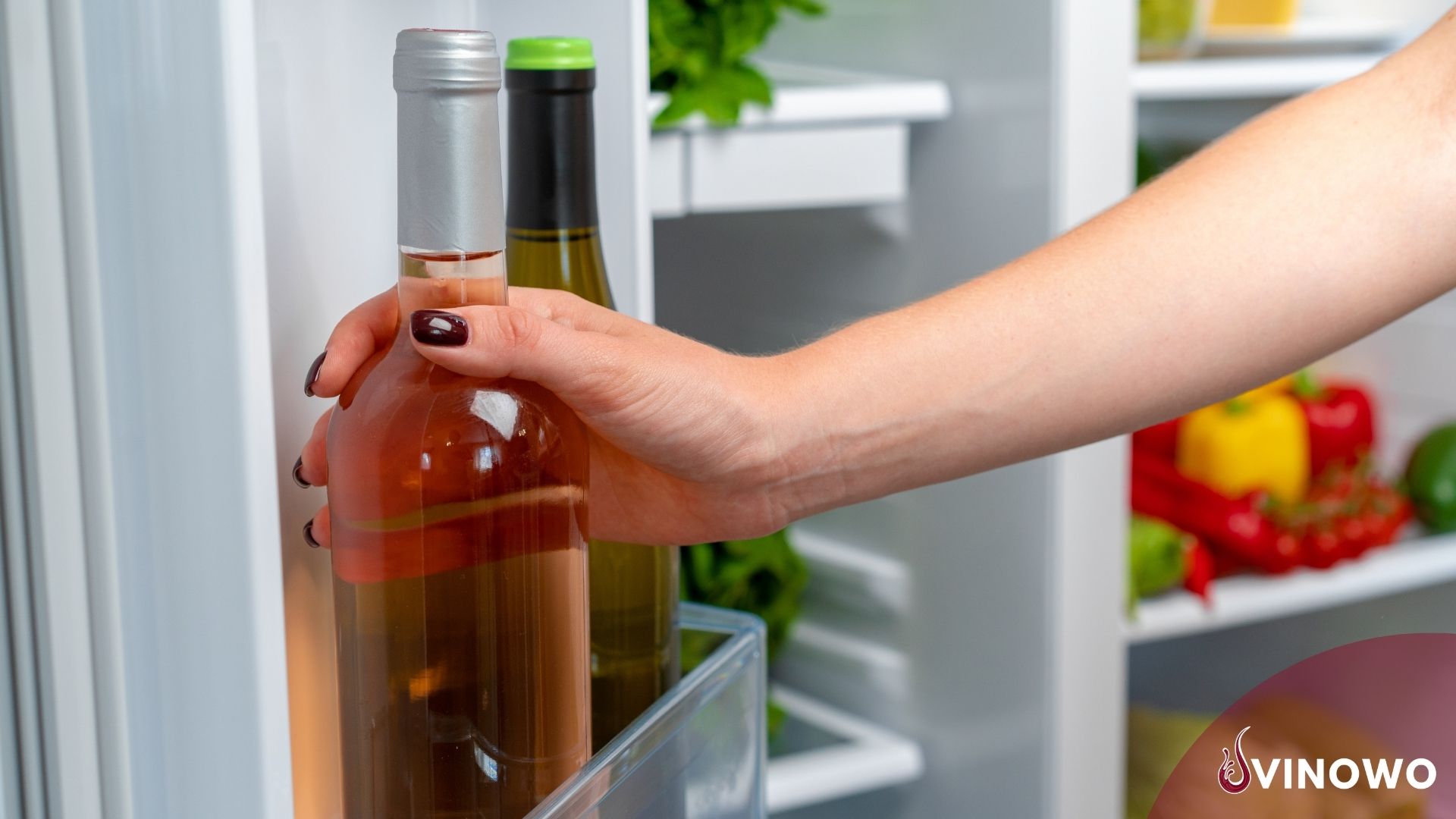 Eignet sich ein Getränkekühlschrank für Weinflaschen?