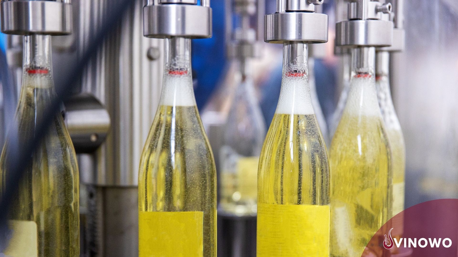 Was sind Sulfite im Wein?