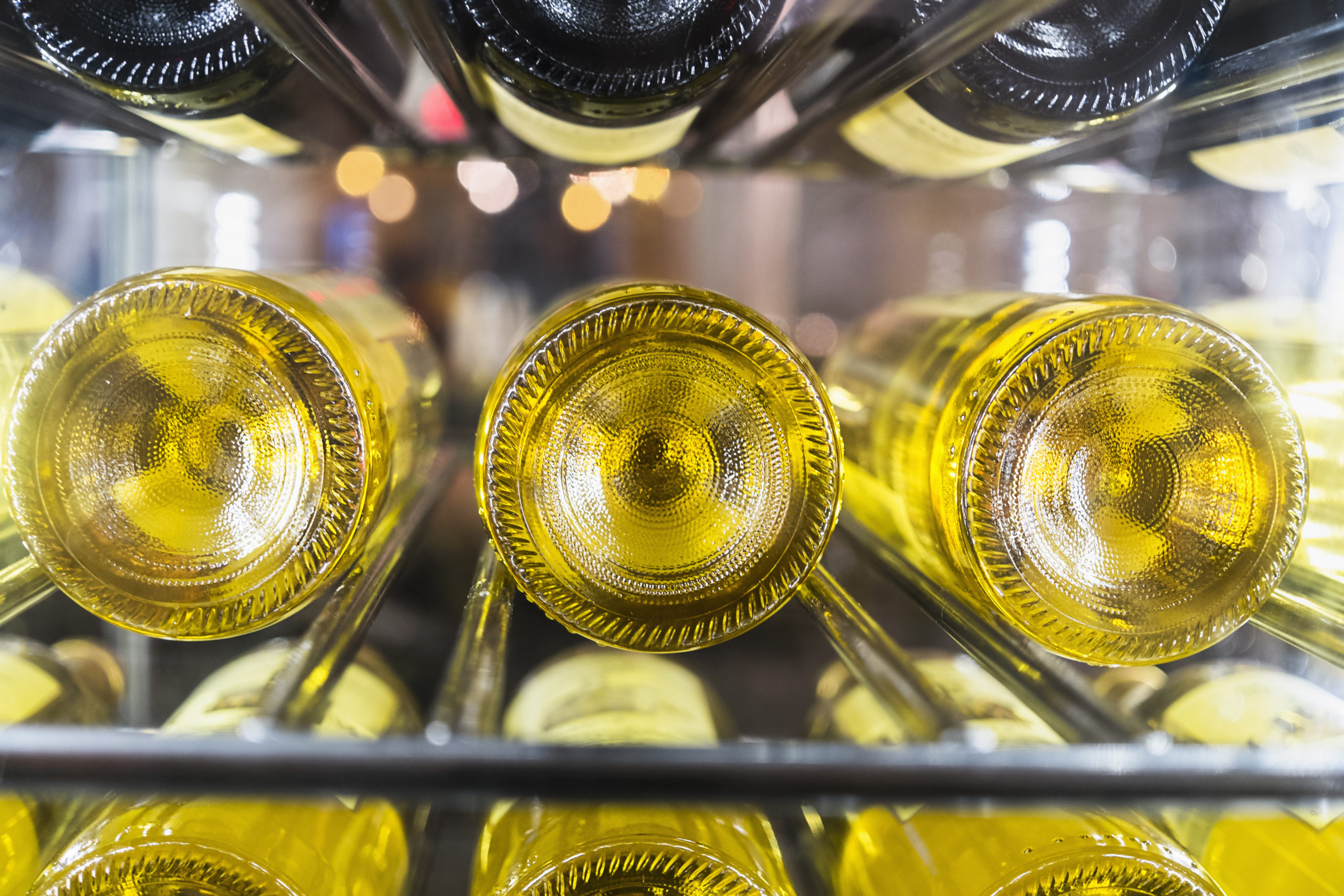 Weinkühlschrank Test 2026: 6 Modelle nach Kühltechnik verglichen