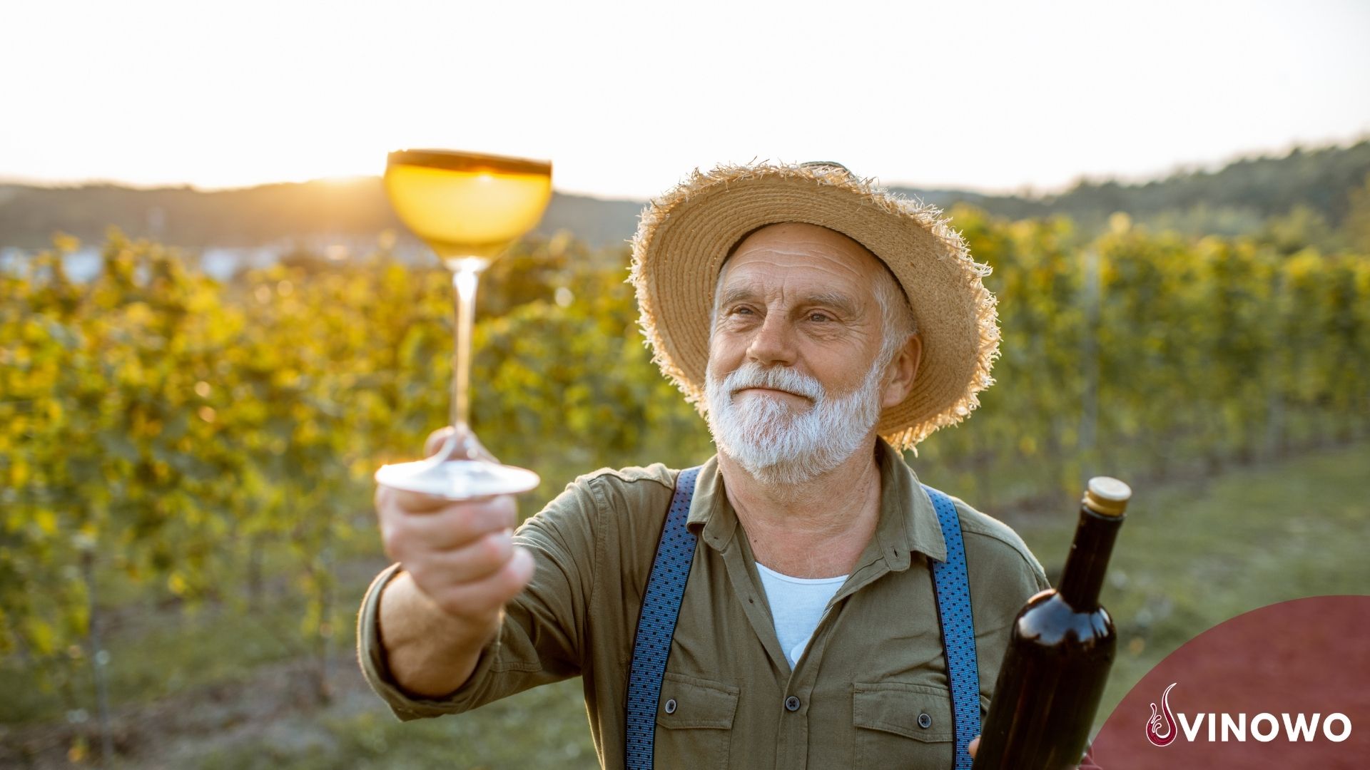 Wie hoch ist der durchschnittliche Alkoholgehalt von Wein?